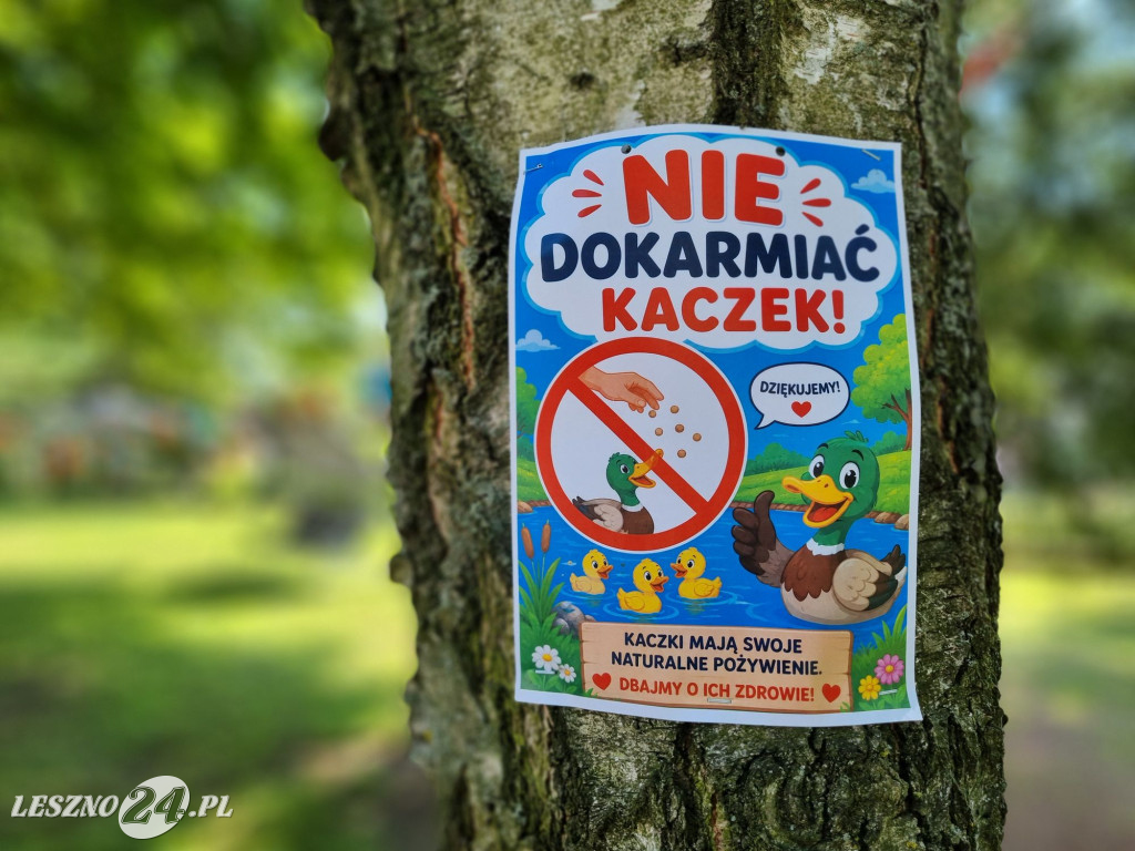 Piknik w Domu Seniora w Lesznie