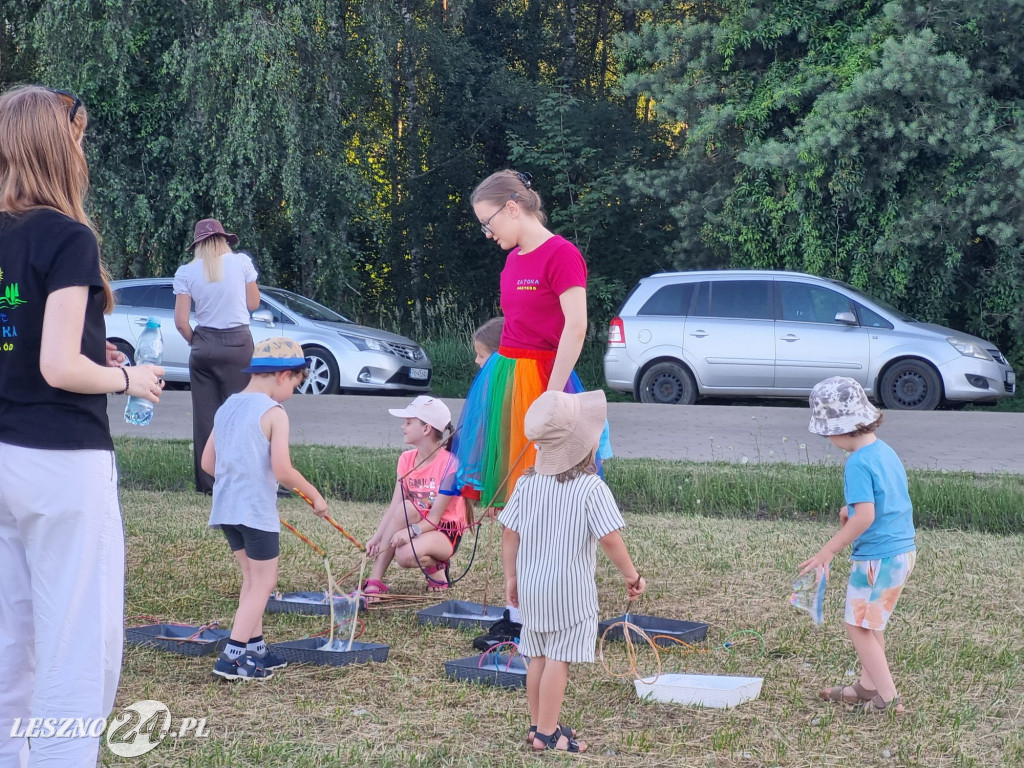 Koncert Lato w pełni w Rydzynie