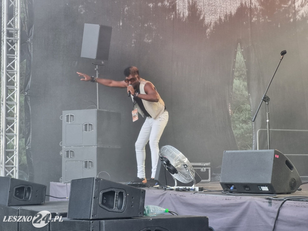 Koncert Lato w pełni w Rydzynie