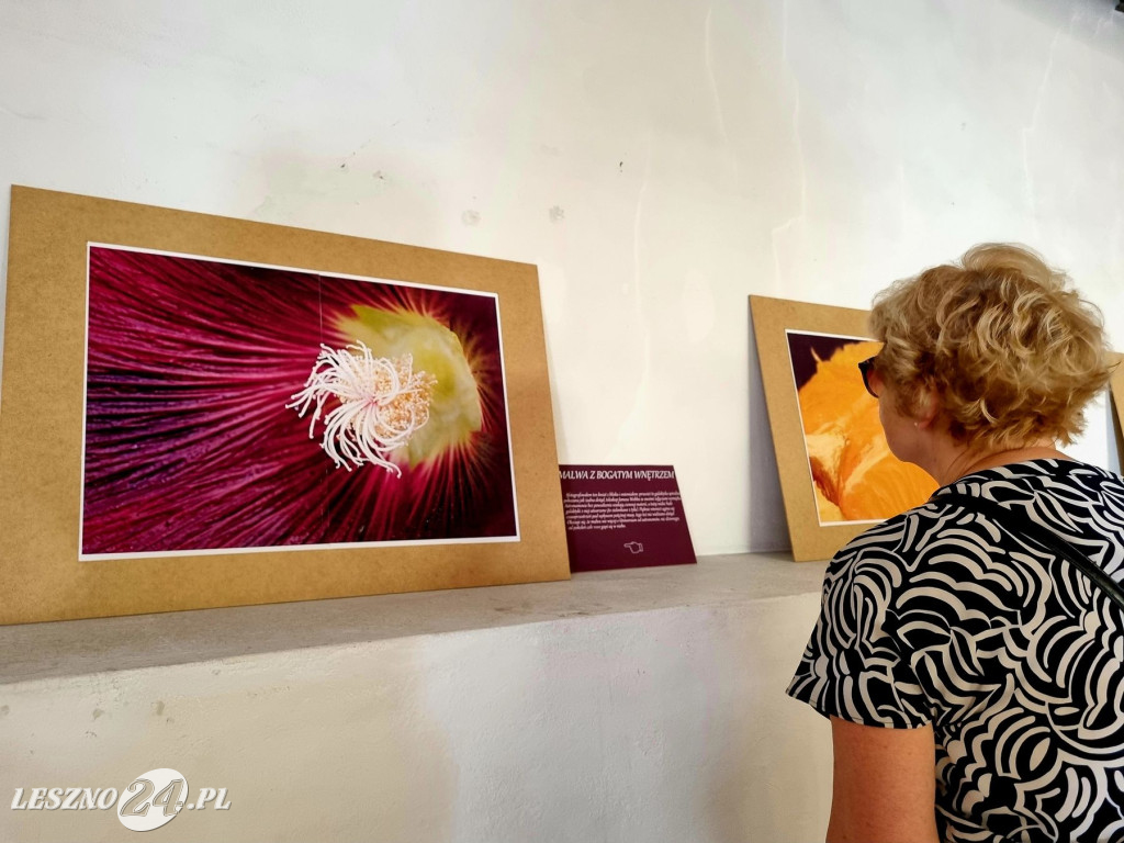 Moje imaginarium światłem i słowem opisane Leszna Plitta