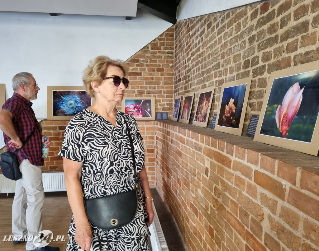 Moje imaginarium światłem i słowem opisane Leszna Plitta