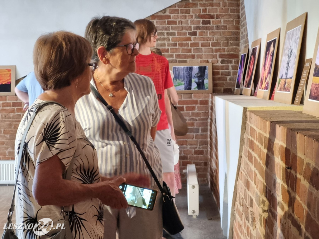 Moje imaginarium światłem i słowem opisane Leszna Plitta