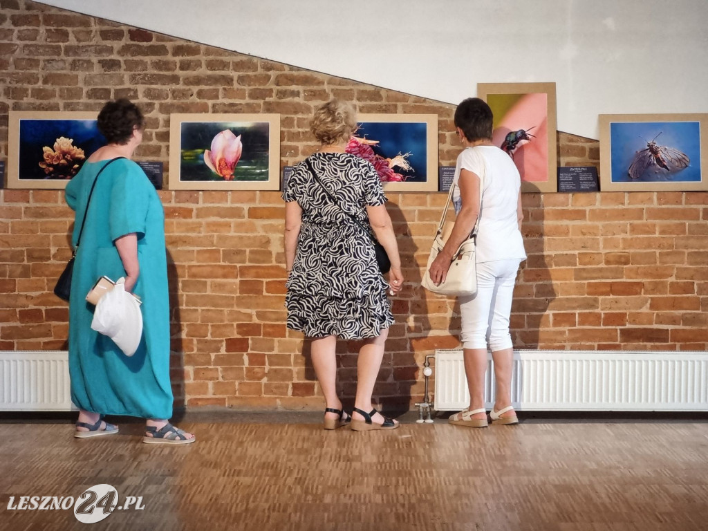 Moje imaginarium światłem i słowem opisane Leszna Plitta