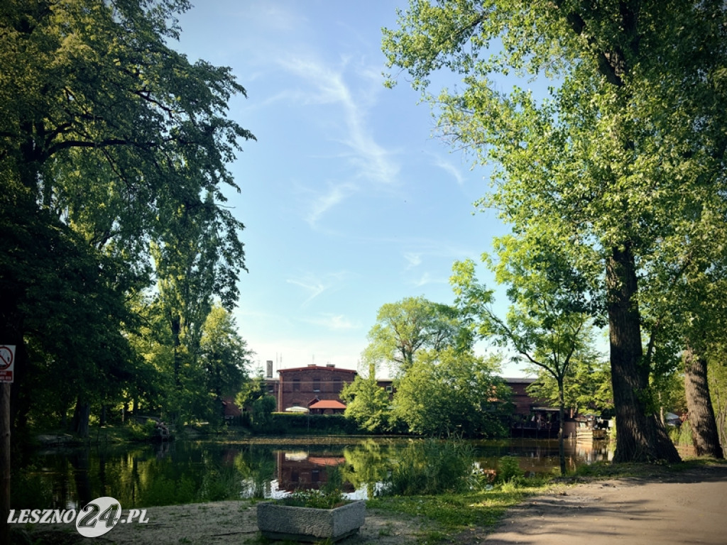 Urokliwe miejsce dla rowerzystów i spacerowiczów