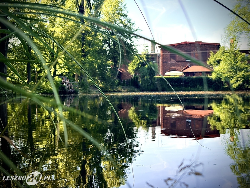 Urokliwe miejsce dla rowerzystów i spacerowiczów