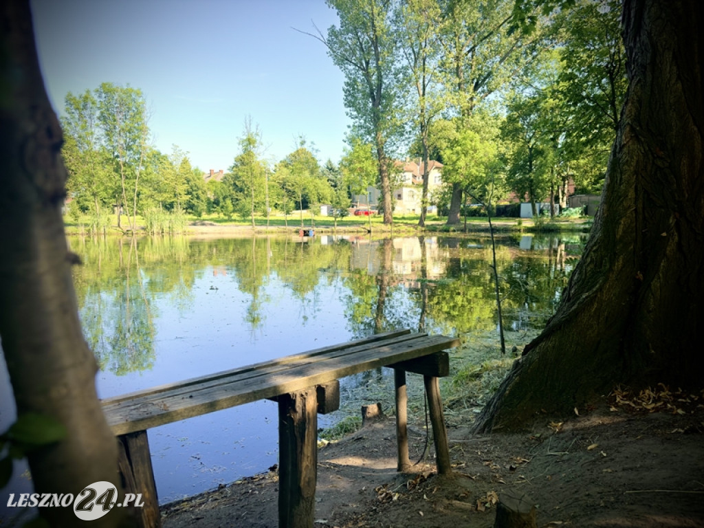 Urokliwe miejsce dla rowerzystów i spacerowiczów