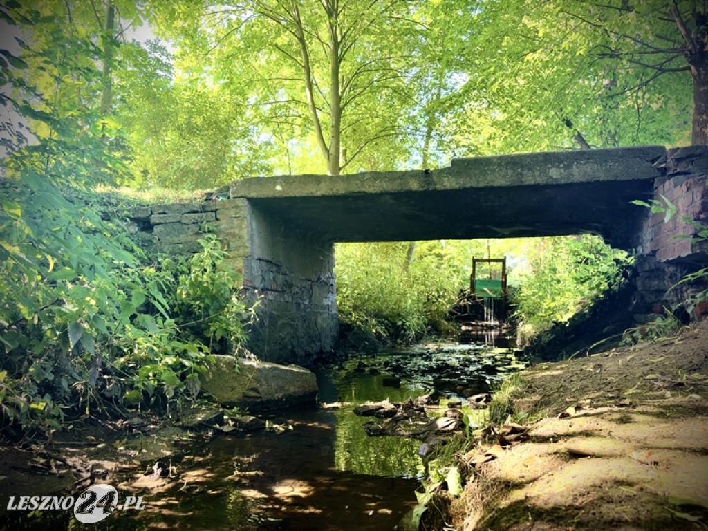 Urokliwe miejsce dla rowerzystów i spacerowiczów