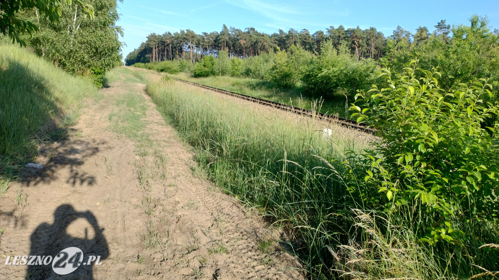 PKP zlikwidowała dwa kolejne przejazdy