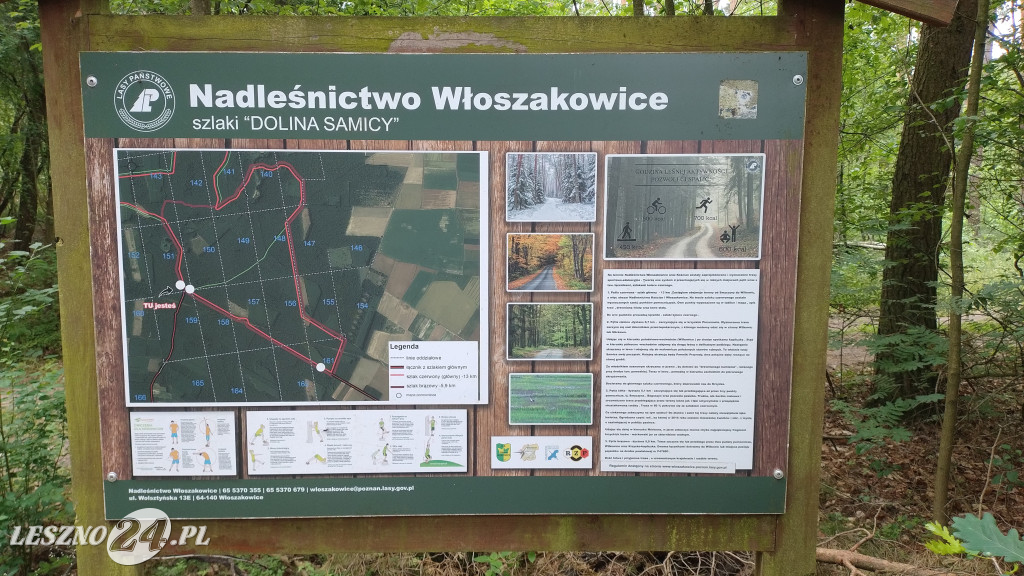 PKP zlikwidowała dwa kolejne przejazdy