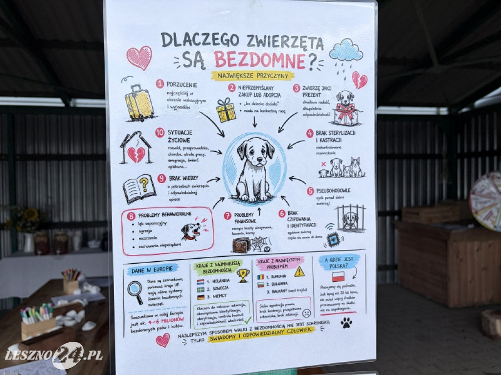 Pieskowe przywitanie lata