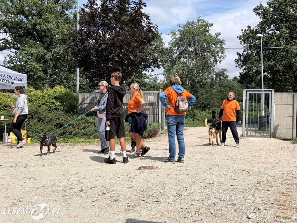 Pieskowe przywitanie lata