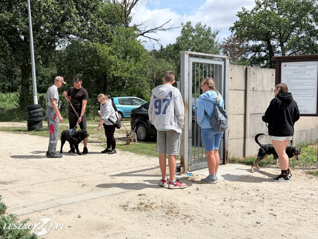 Pieskowe przywitanie lata