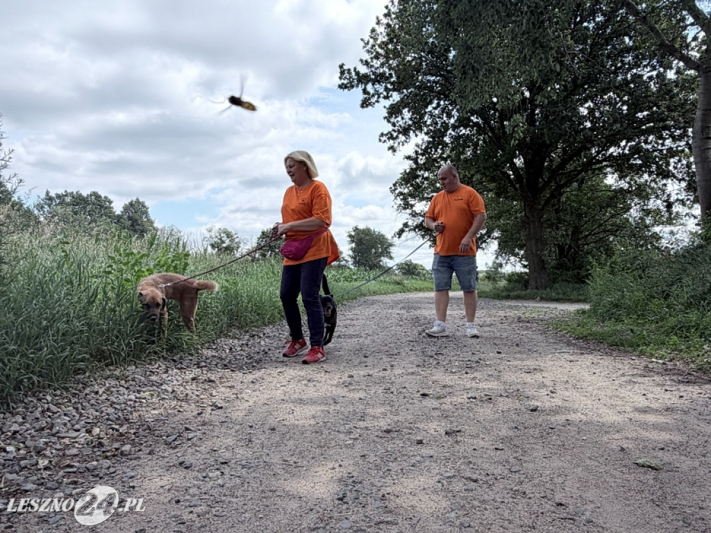 Pieskowe przywitanie lata