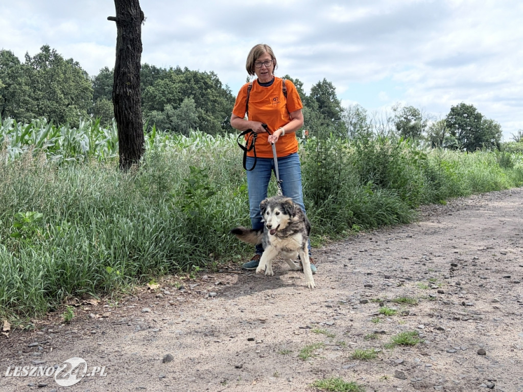 Pieskowe przywitanie lata