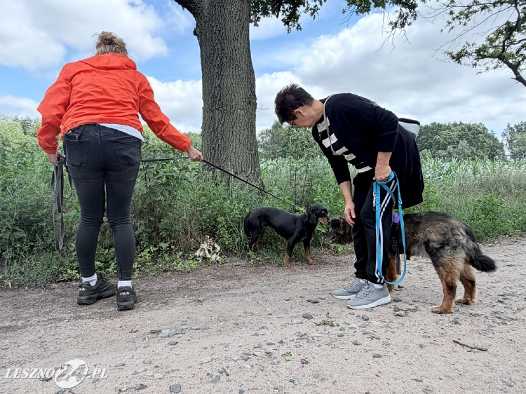 Pieskowe przywitanie lata