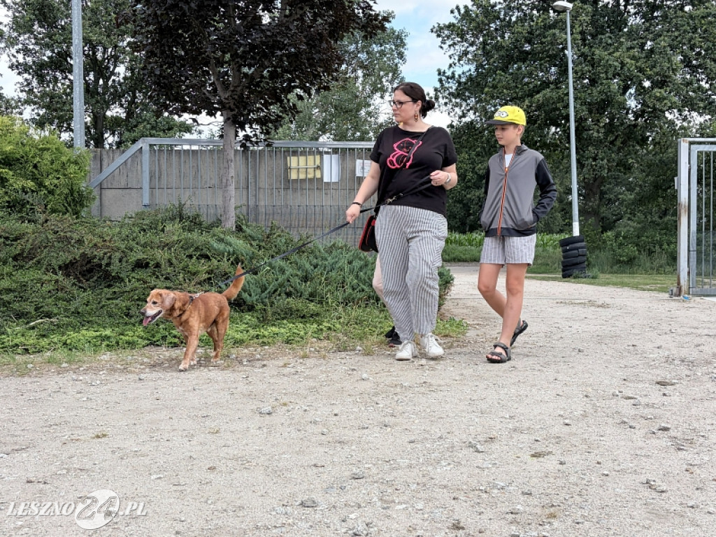 Pieskowe przywitanie lata
