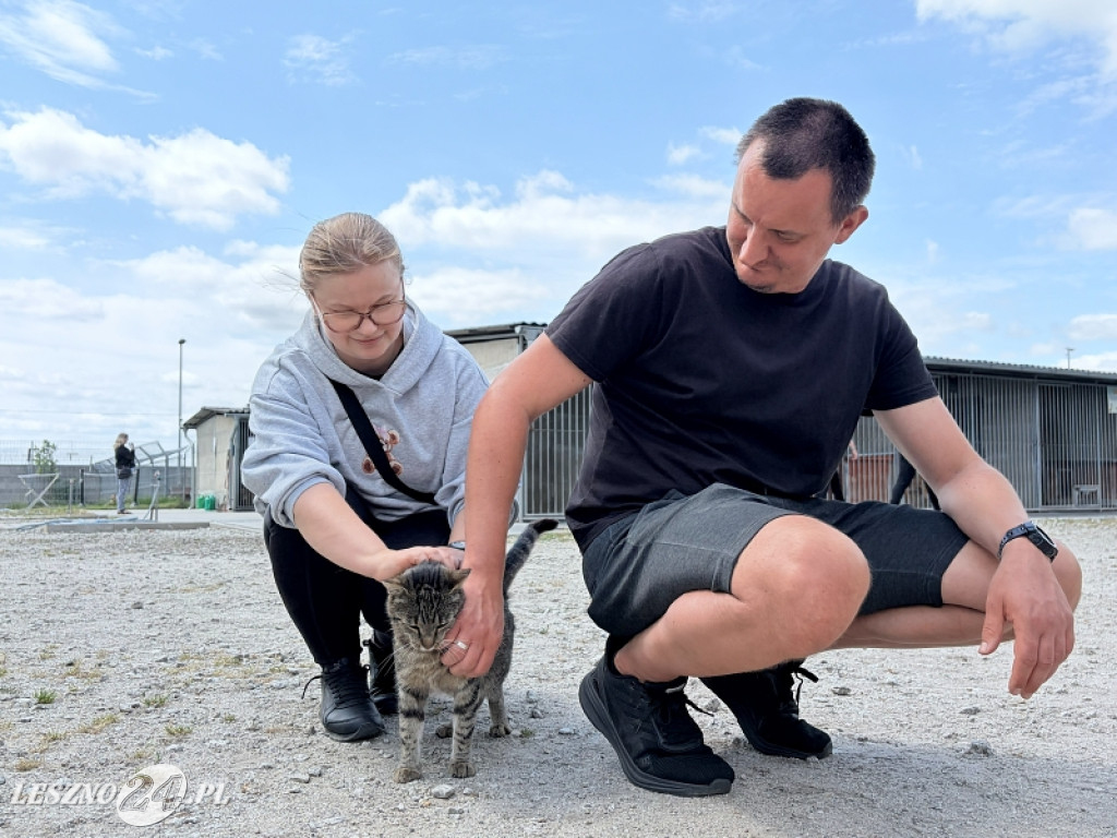 Pieskowe przywitanie lata
