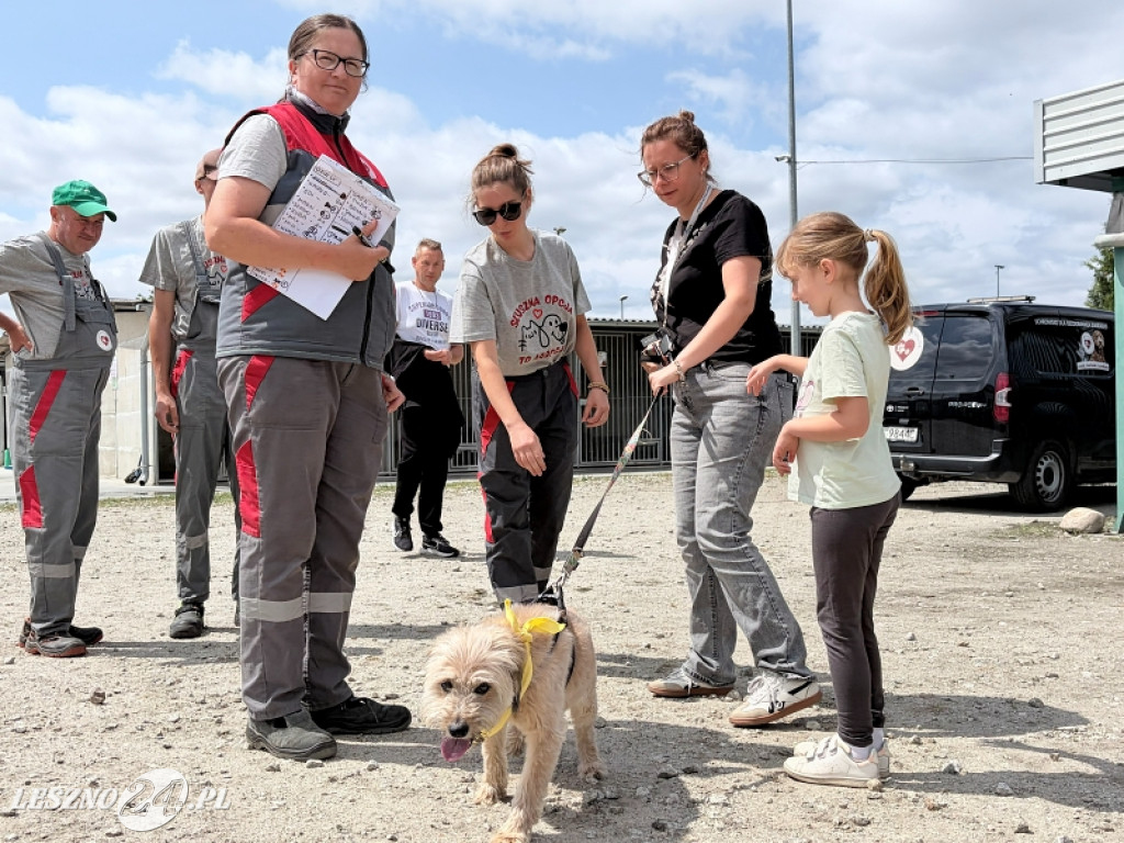 Pieskowe przywitanie lata