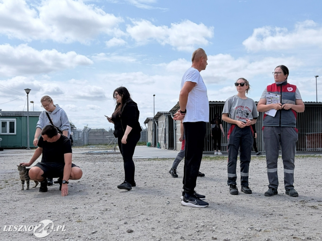 Pieskowe przywitanie lata