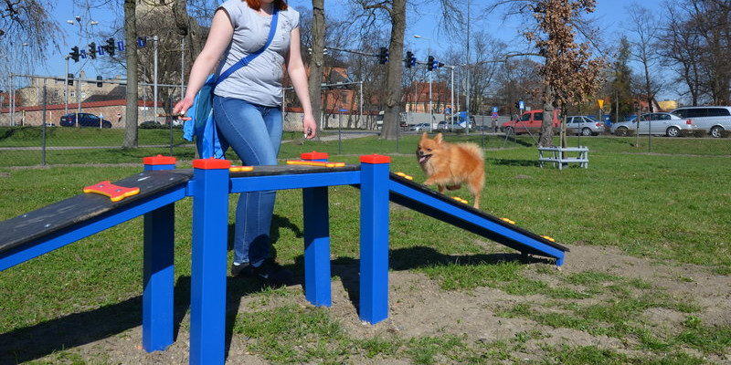 Ogródek dla psów i ich troskliwych właścicieli (zdjęcia)