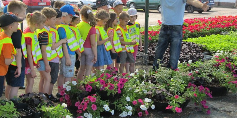 Pracownicy zieleni zapraszają do zakładu (zdjęcia)