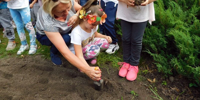 Dzieci sadziły pelargonie (zdjęcia) 