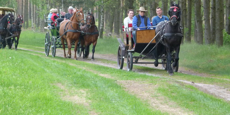 Konna Majówka w Wilkowicach (zdjęcia)
