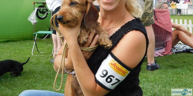 Psie piękności w Lesznie (zdjęcia) 