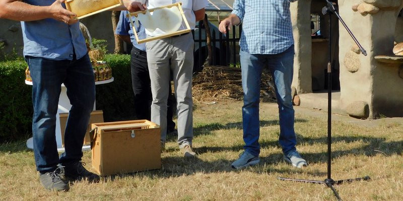 Pyszny miód z miejskiej pasieki (kilka zdjęć)