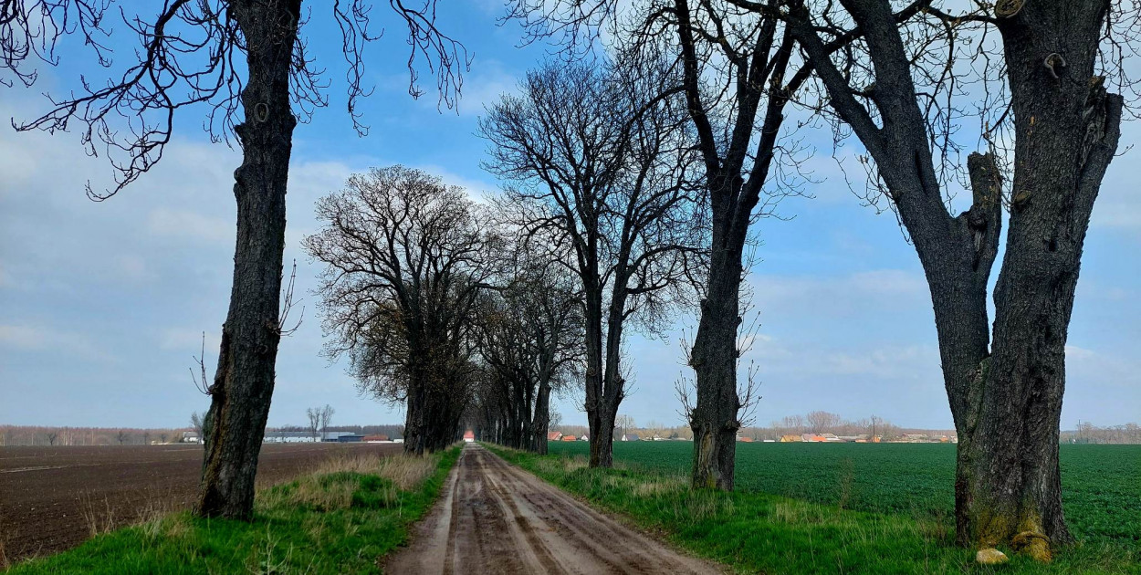 Kopaszewska Droga Krzyżowa. Ku pamięci ukochanej, zmarłej żony (zdjęcia)