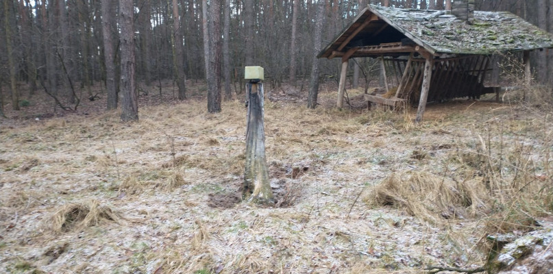 jrs, Fot. Andrzej Szeremeta 