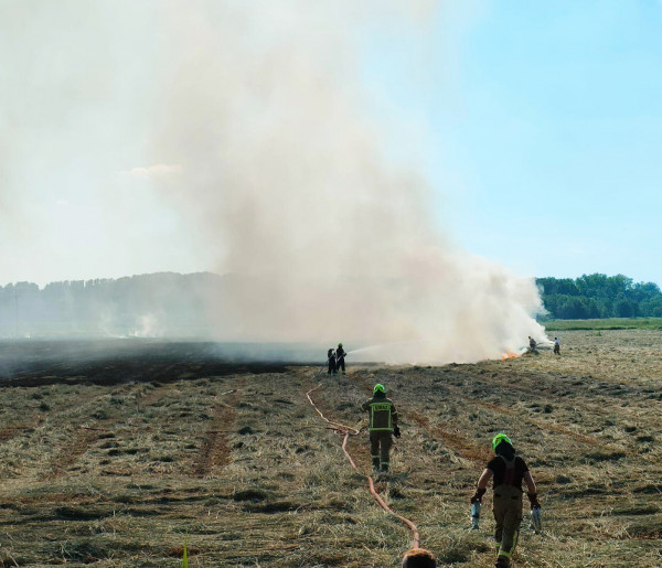 Pożar na łące w Tarnowej Łące. Znana jest przyczyna (zdjęcia)-54657