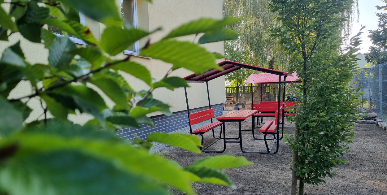 jrs, fot. J. Rutecka-Siadek