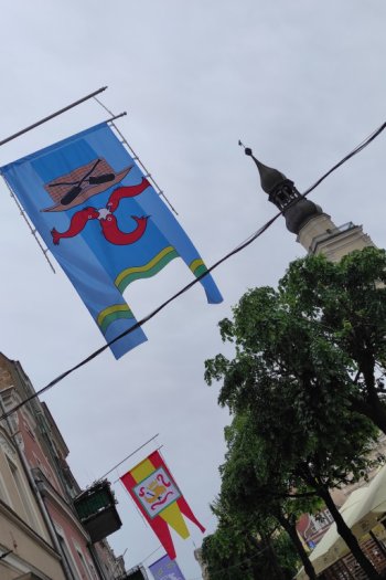 Flagi cechowe na święto Leszna-6629