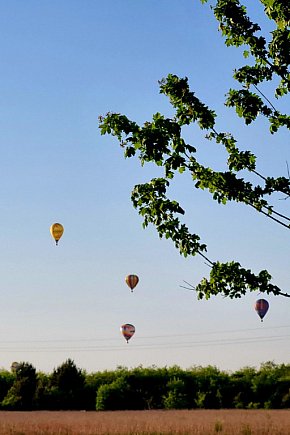 6 maja balony latały nad Lesznem-10607