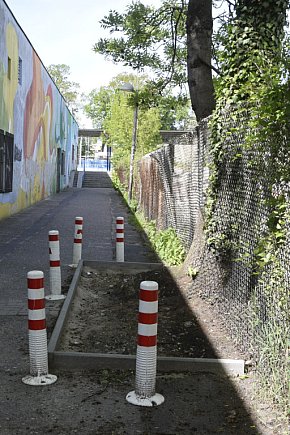 Samosiejka w przejściu z dworca PKS w Lesznie-10616