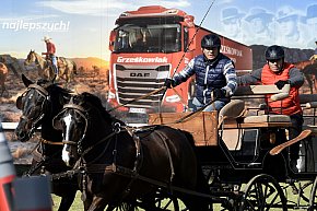 Zawody w Powożeniu w Wilkowicach 2025-10627