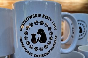 Boszkowskie Koty i Psy - spacer z psami i ognisko-10829