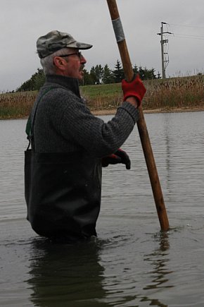 Odłowy ryb ze zbiornika w Rydzynie-10883