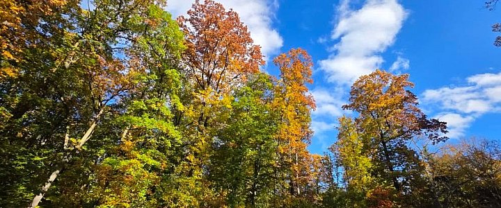 leszno24.pl na Facebooku