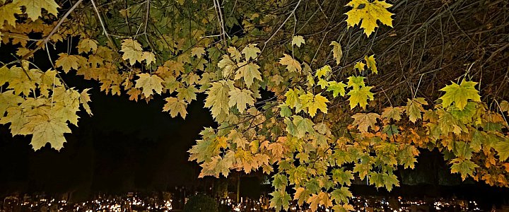 leszno24.pl na Facebooku