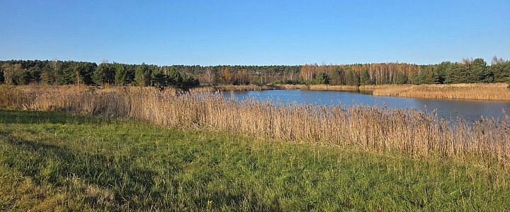 leszno24.pl na Facebooku