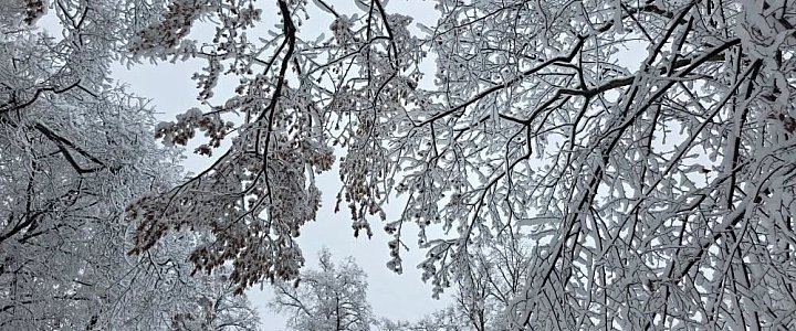 leszno24.pl na Facebooku