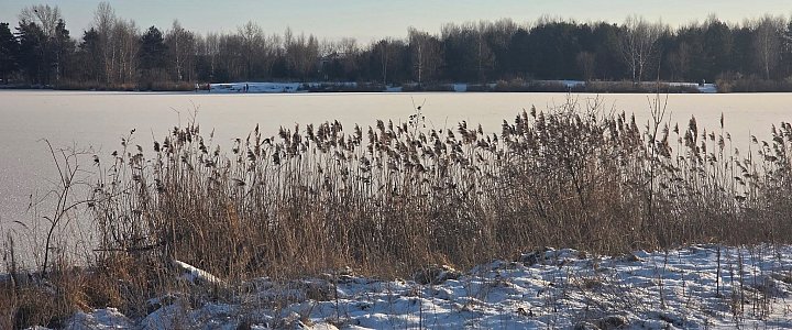 leszno24.pl na Facebooku