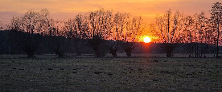 leszno24.pl na Facebooku