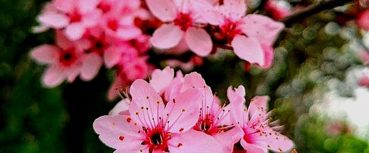 leszno24.pl na Facebooku