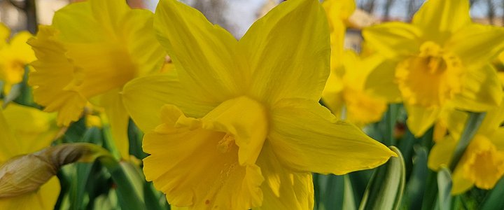 leszno24.pl na Facebooku