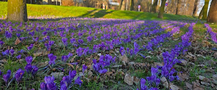 leszno24.pl na Facebooku