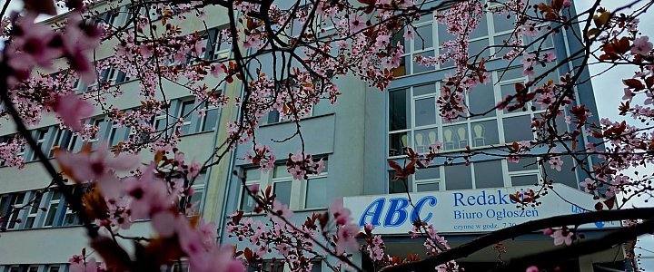 leszno24.pl na Facebooku