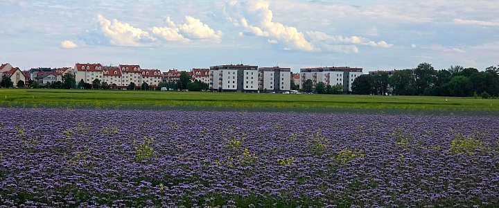 leszno24.pl na Facebooku